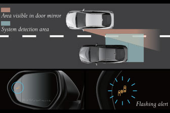 Door Sill Protectors